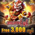 Shwe666 ကာစီနို ၏ ထိပ်တန်း ဝန်ဆောင်မှုများ