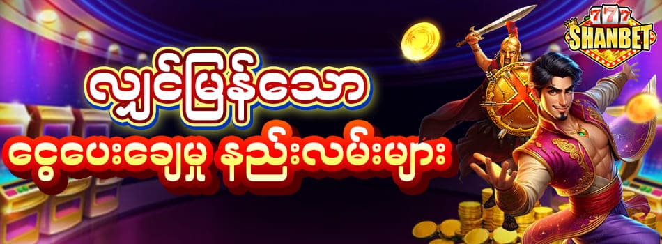 Shwe666 ငွေပေးချေမှုနည်းလမ်းများ 