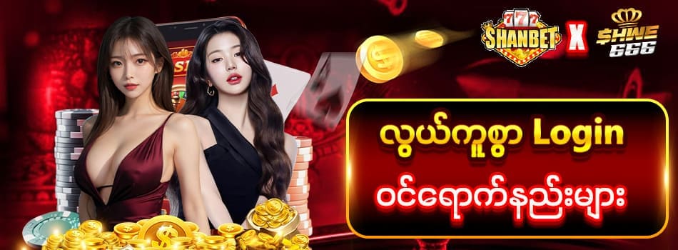 shwe666 login
